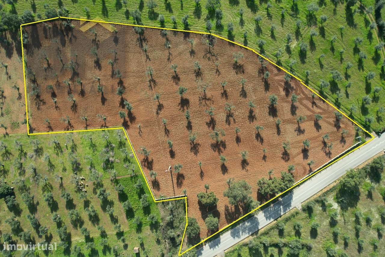 Terreno Rústico  Venda em Freixial e Juncal do Campo,Castelo Branco - Grande imagem: 4/4