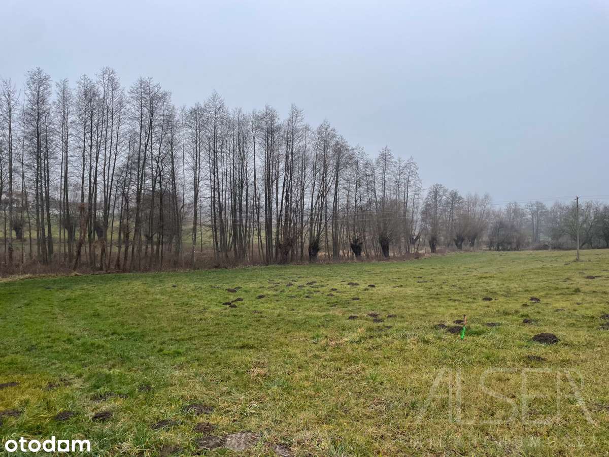 6 Działek budowlanych od 1356 m2 do 2143 m2 | WZ-10