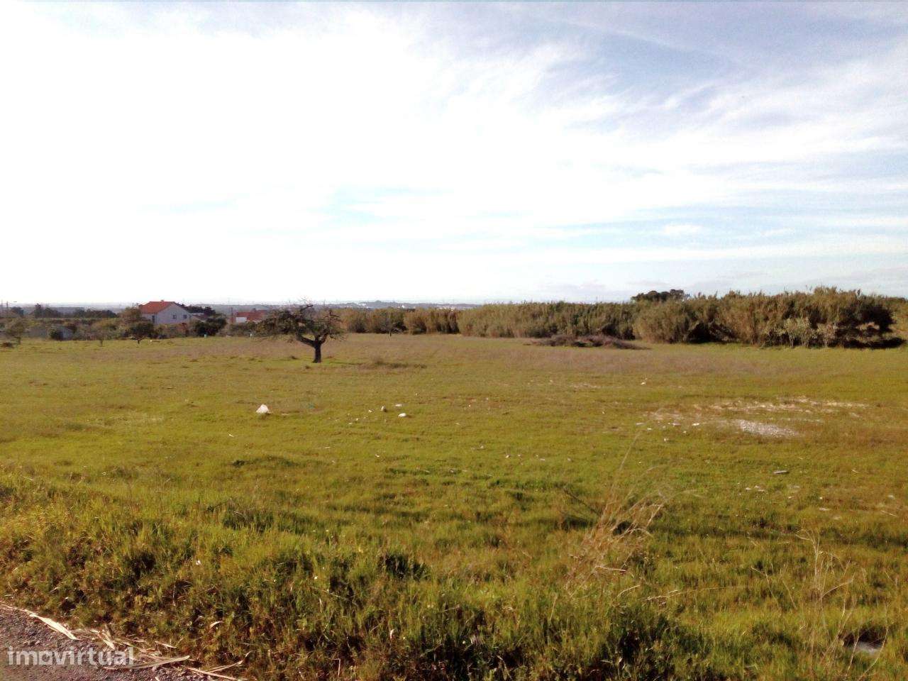 Palmela/ Cabanas Terreno com 1,5 Ha para construção de moradias. - Grande imagem: 5/8