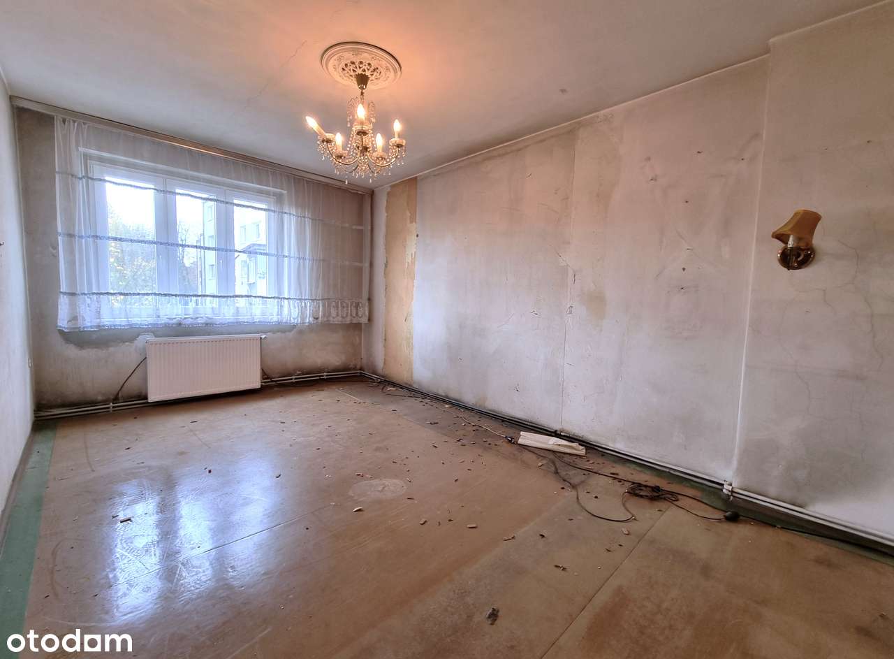 | Bezpośrednio duże mieszkanie | - Pełny obrazek: 1/11