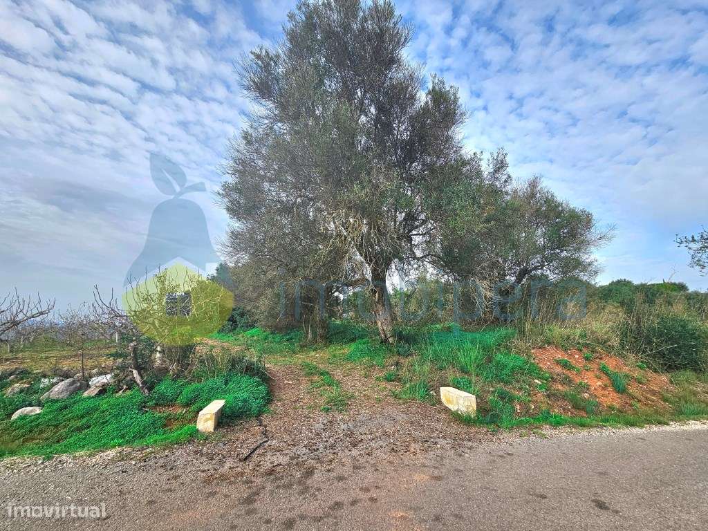 Algarve, Messines: Terreno rústico na evasão do campo, ideal para a... - Grande imagem: 2/12