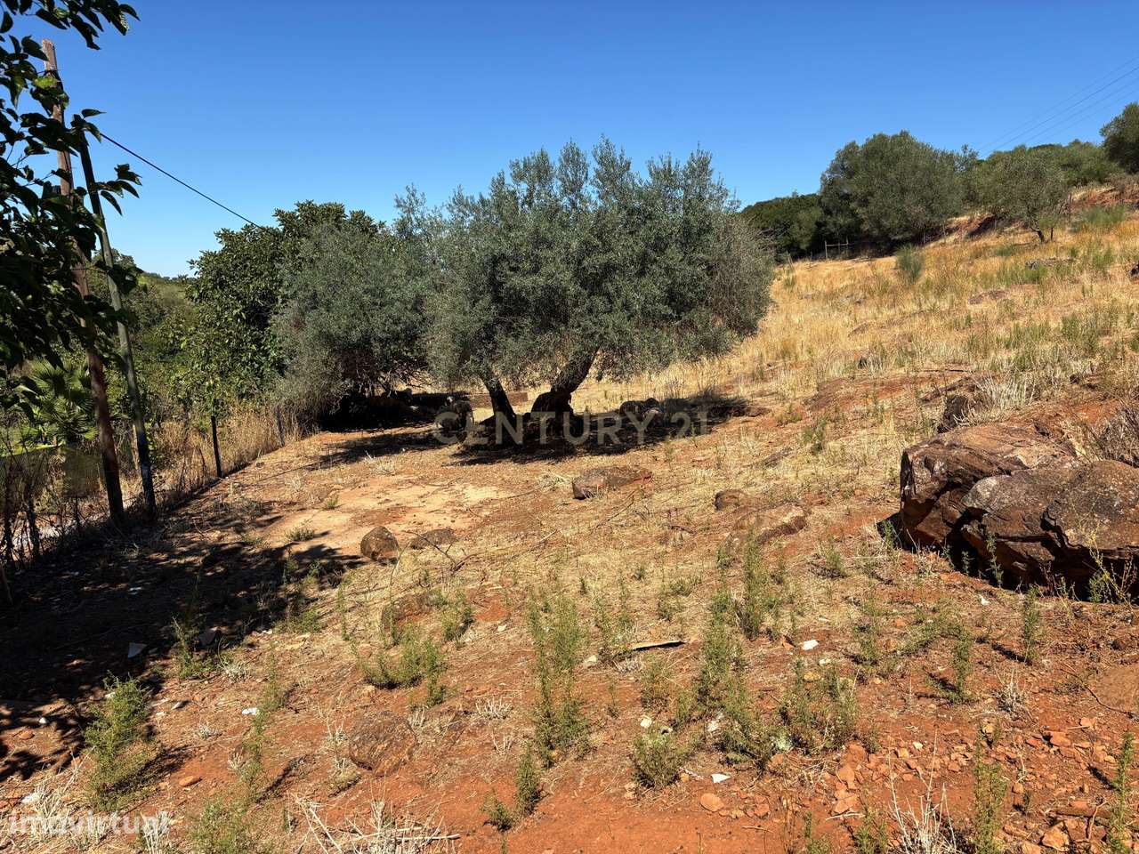 Quintinha com Moradia T2 + Armazém | 2ha vedados | Rio | Fruteiras | A-13