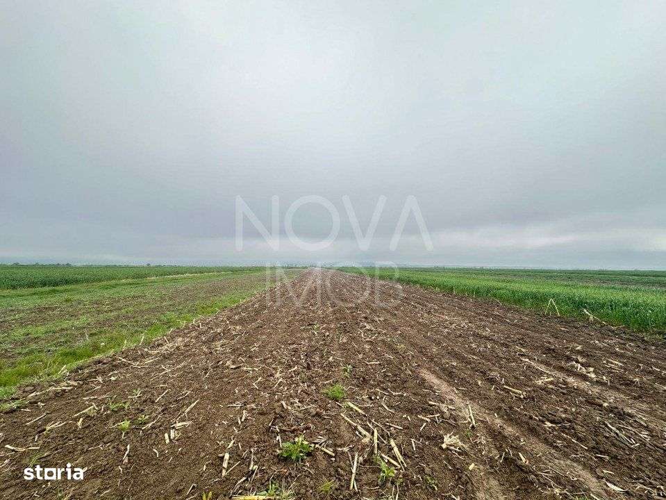 Teren extravilan de vanzare - Gura Raului - Imagine principală: 2/6