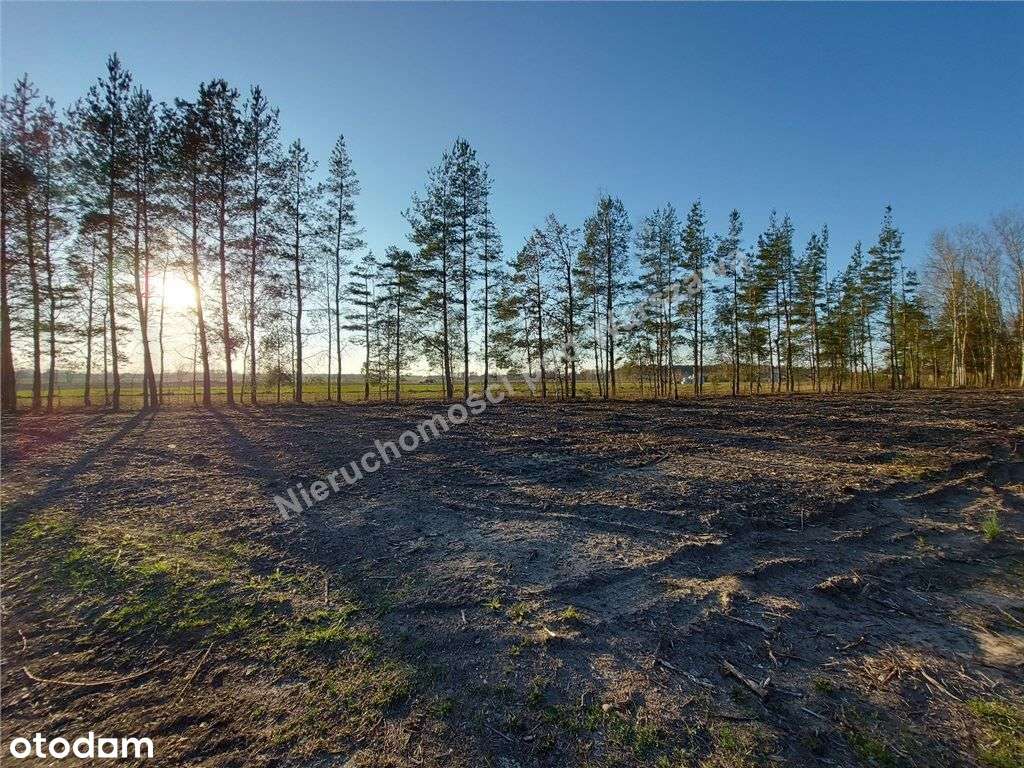 Zielono I Bezpiecznie, Komunikacja Pkp. - Pełny obrazek: 4/10