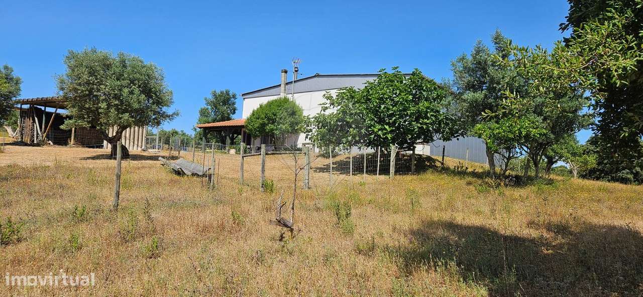 Terreno  para venda - Grande imagem: 5/15