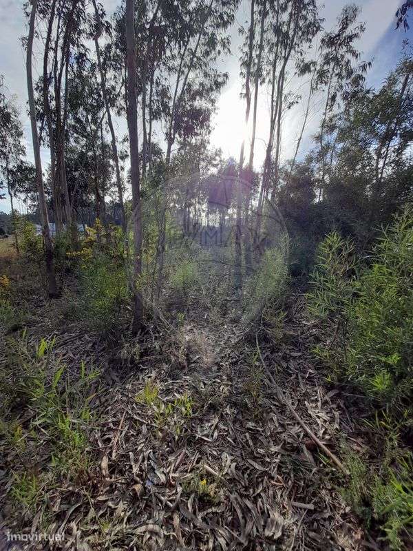 Terreno  para venda - Grande imagem: 4/6