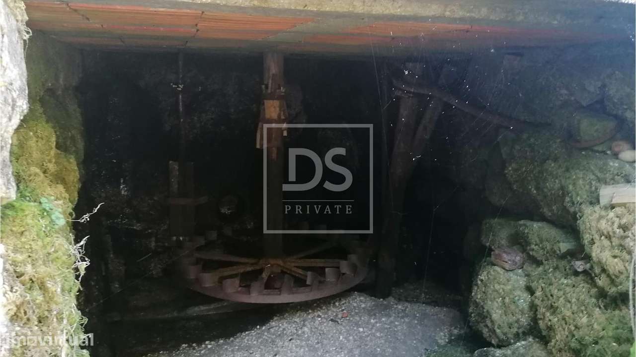 Quinta T4 Venda em Britelo, Gémeos e Ourilhe,Celorico de Basto - Grande imagem: 5/29