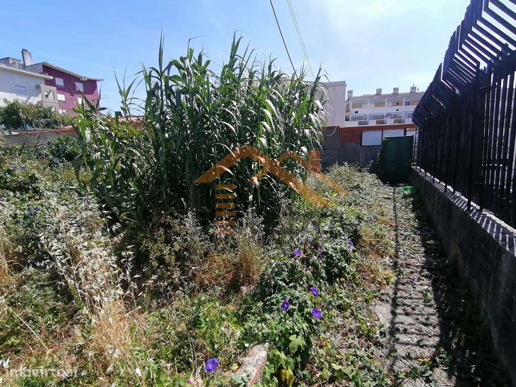 Terreno Rústico com 2.000 m2, com possibilidade de passar a Urbano,... - Grande imagem: 5/8