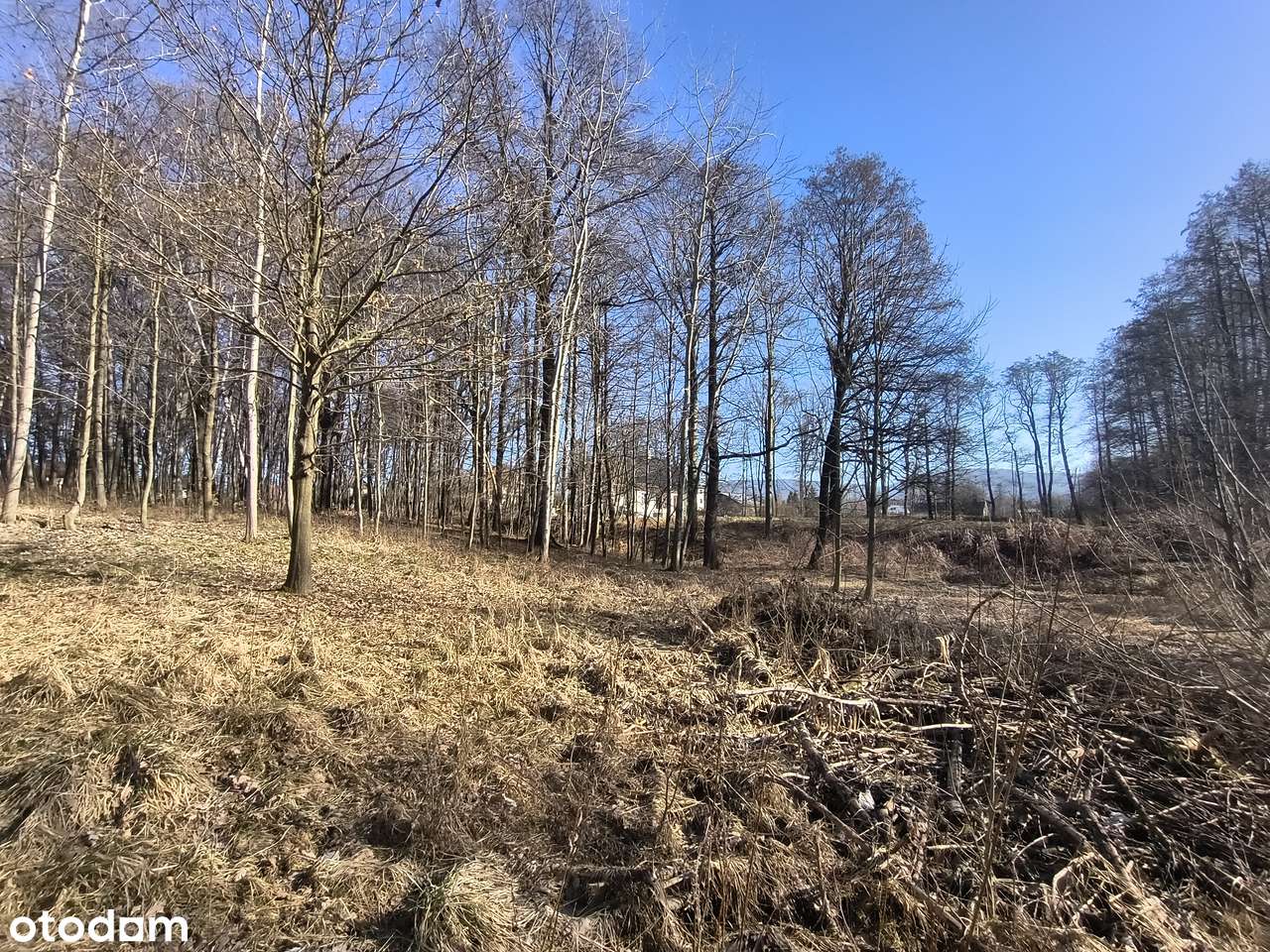 Działka marzeń 3300 m² | Las, strumyk, cisza | Hałcnów-5