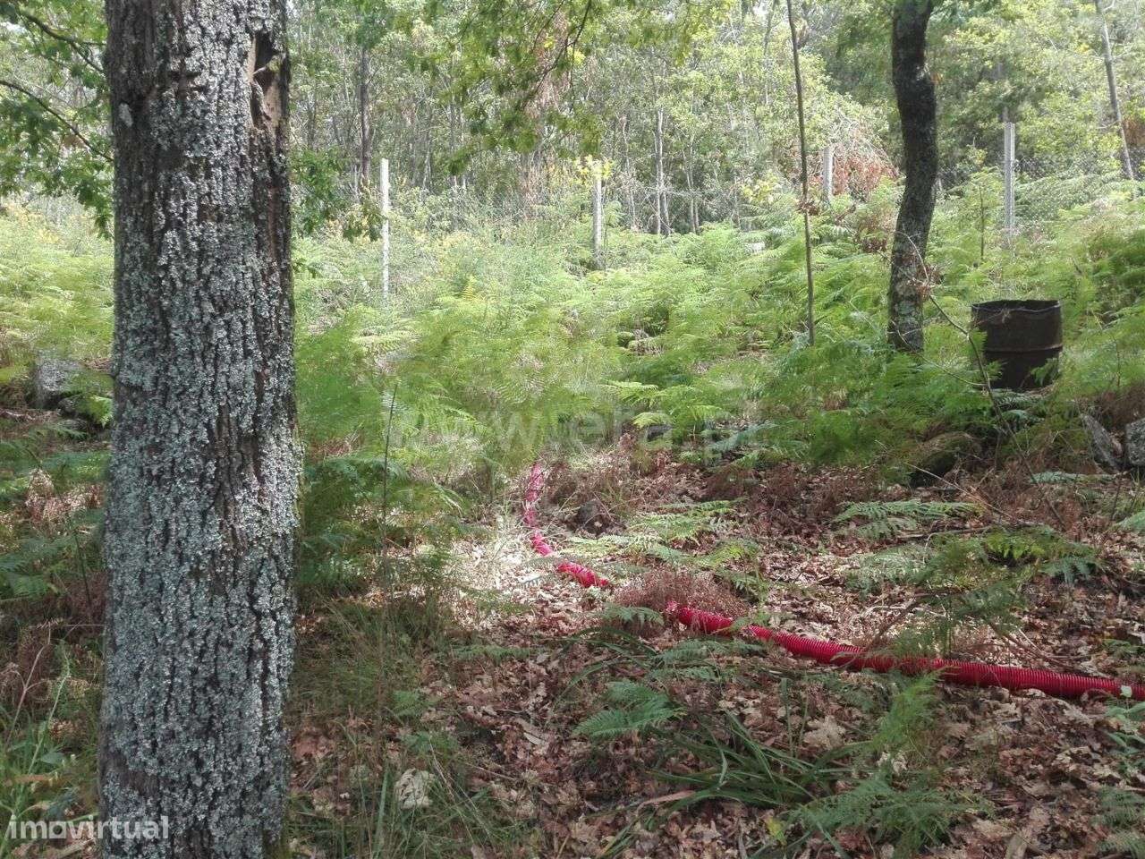Terreno com ruína e área de 3.700 m2 em Estorãos - Grande imagem: 4/15