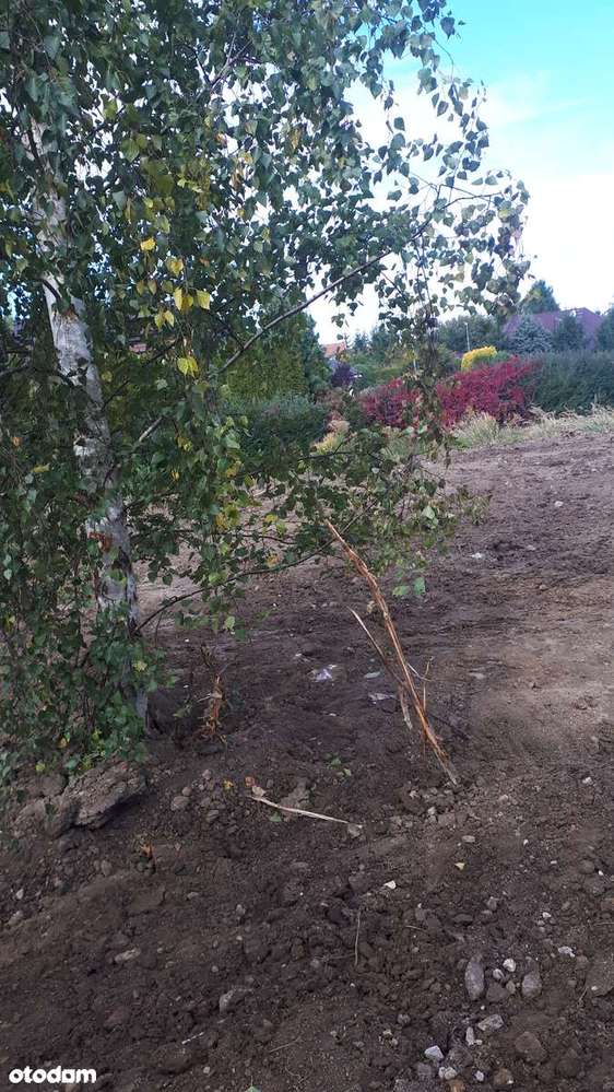 Bezrzecze z pozwoleniem na budowę-11