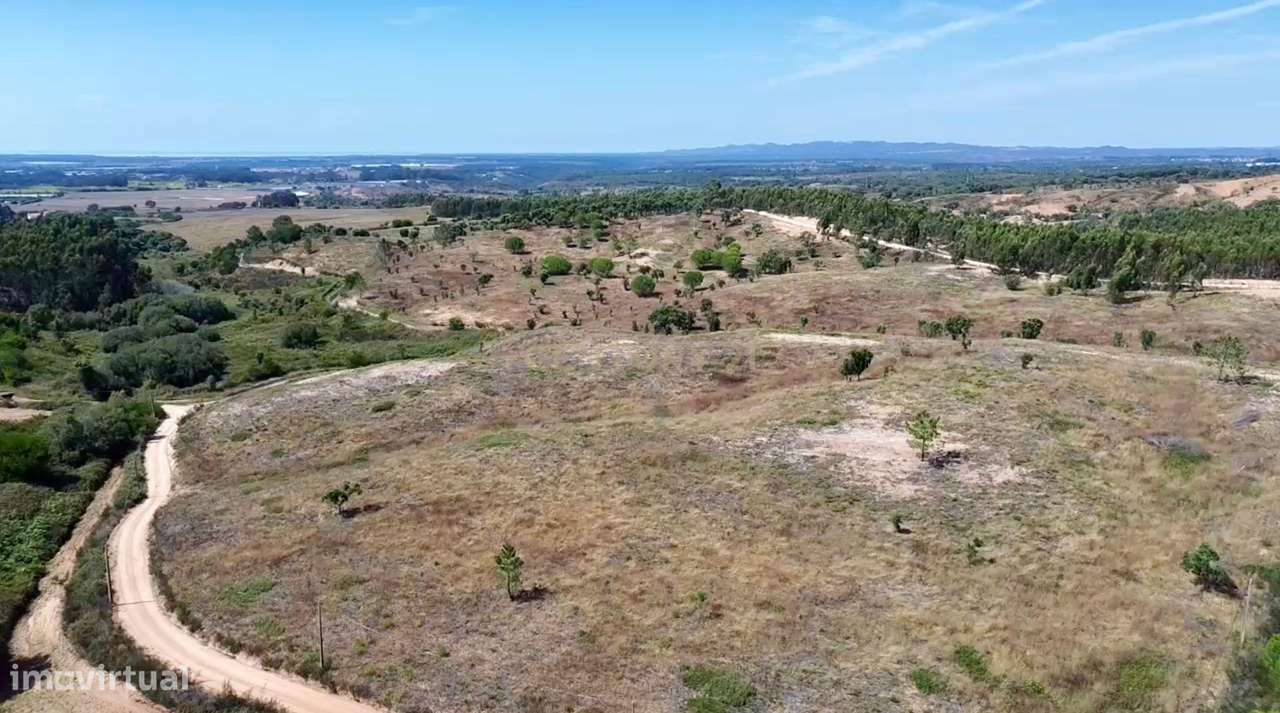 Terreno em São Teotónio com 77.000 m2 e possibilidade de projecto turí - Grande imagem: 5/19