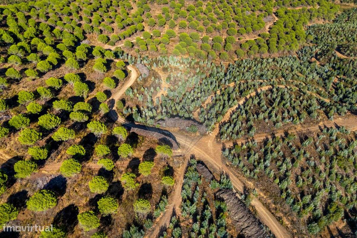Quinta  para venda - Grande imagem: 4/17