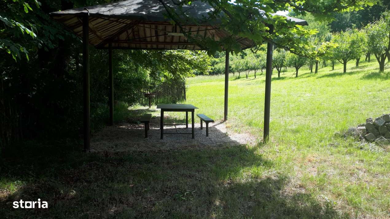 Teren extravilan  de vanzare | 4288 mp | in Gusterita - Imagine principală: 5/7