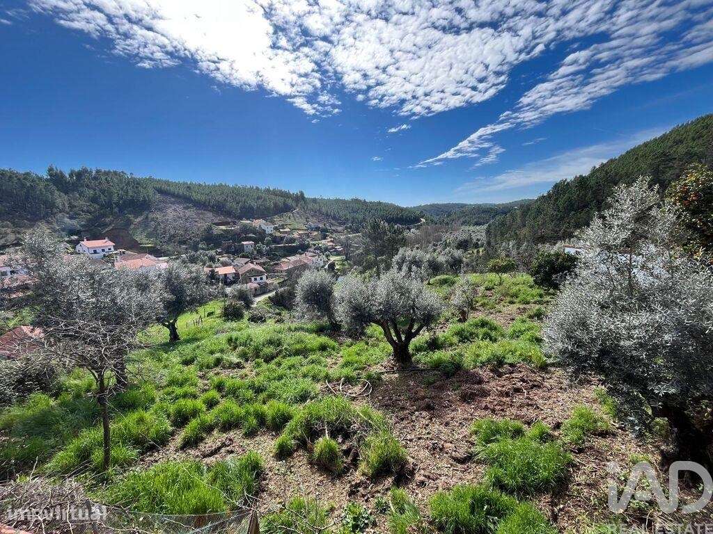 Casa / Villa T3 em Sobreira Formosa e Alvito da Beira de 90,00 m2 - Grande imagem: 3/26