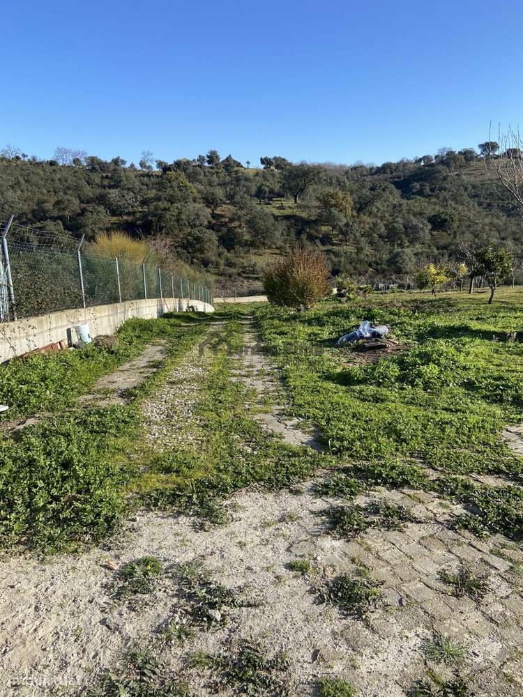 Quinta em Castelo Branco - Grande imagem: 5/20