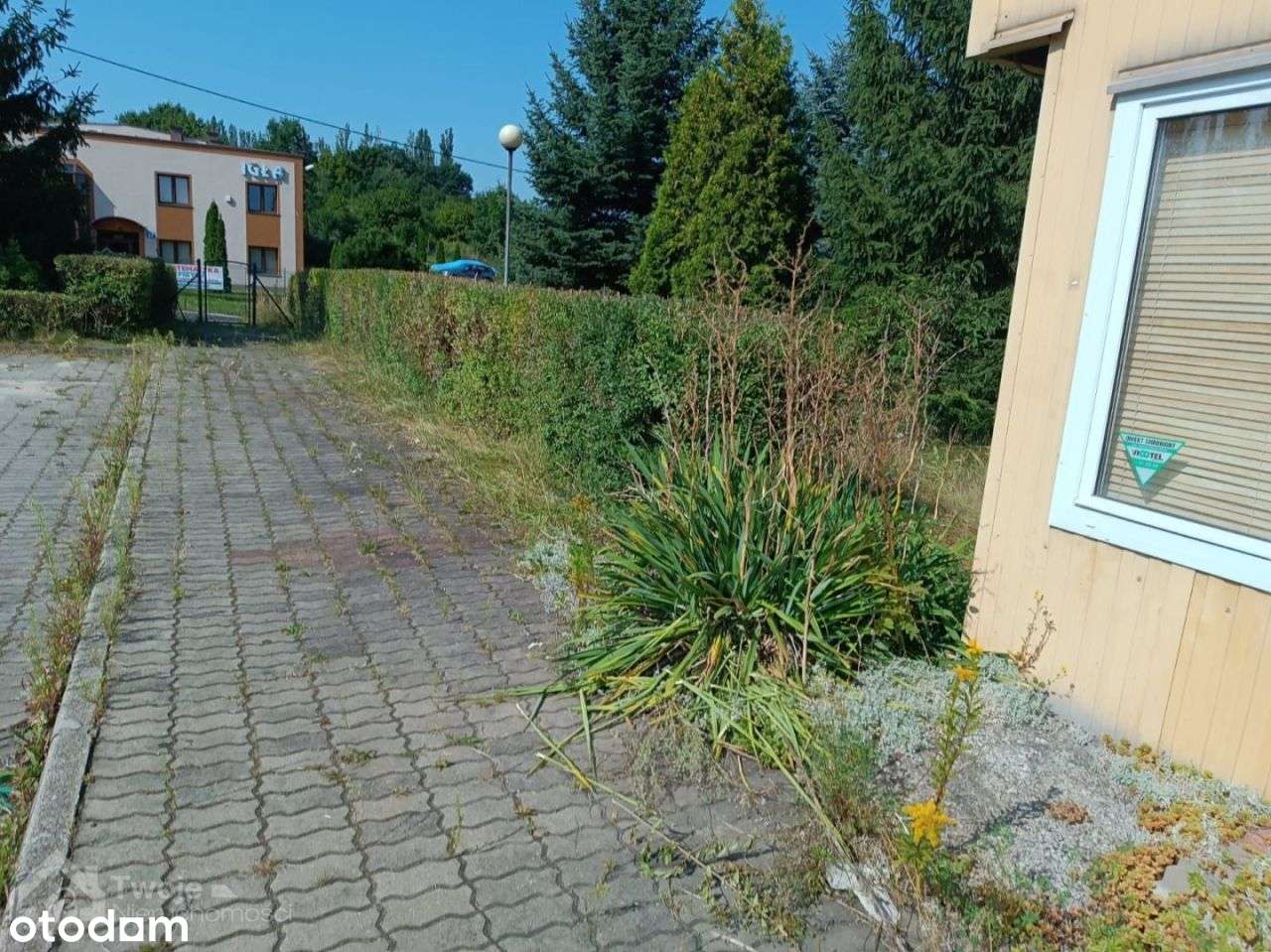 Kompleks magazynowo-biurowy z dużą działką - Pełny obrazek: 5/20