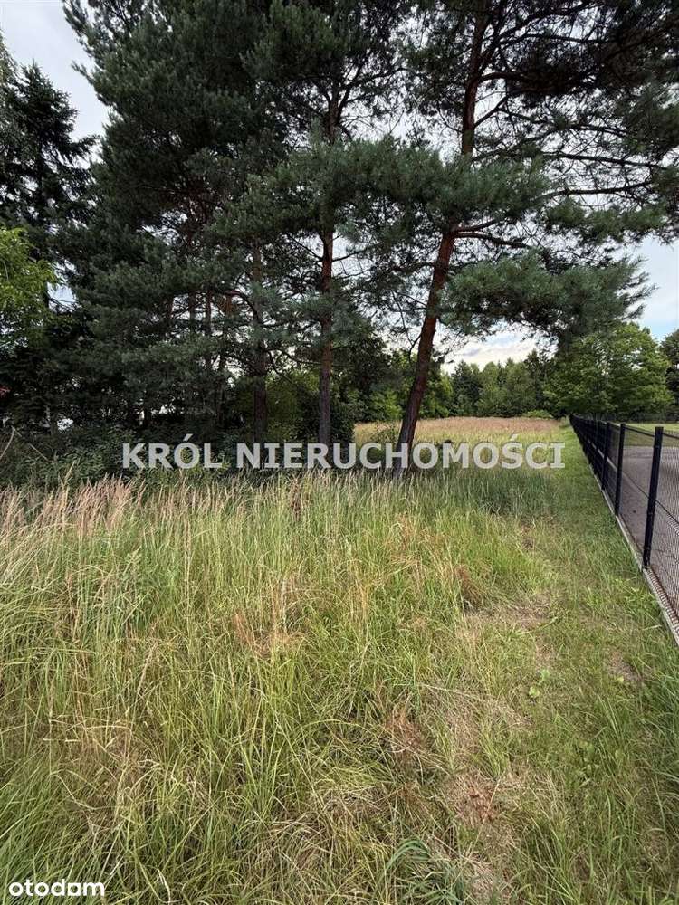 Działka Żory - Folwarki-1