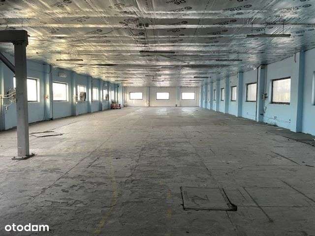 Hala przy trasie 2000 - Pełny obrazek: 5/8