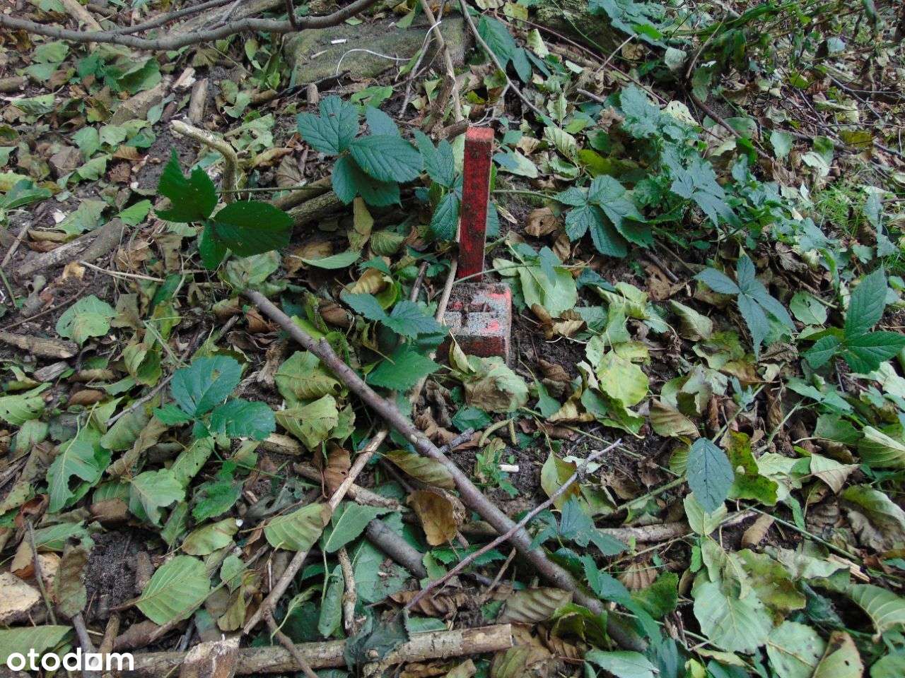 Działka bud.usł. Zielona Góra 1000/1210 m2 197, 50-2