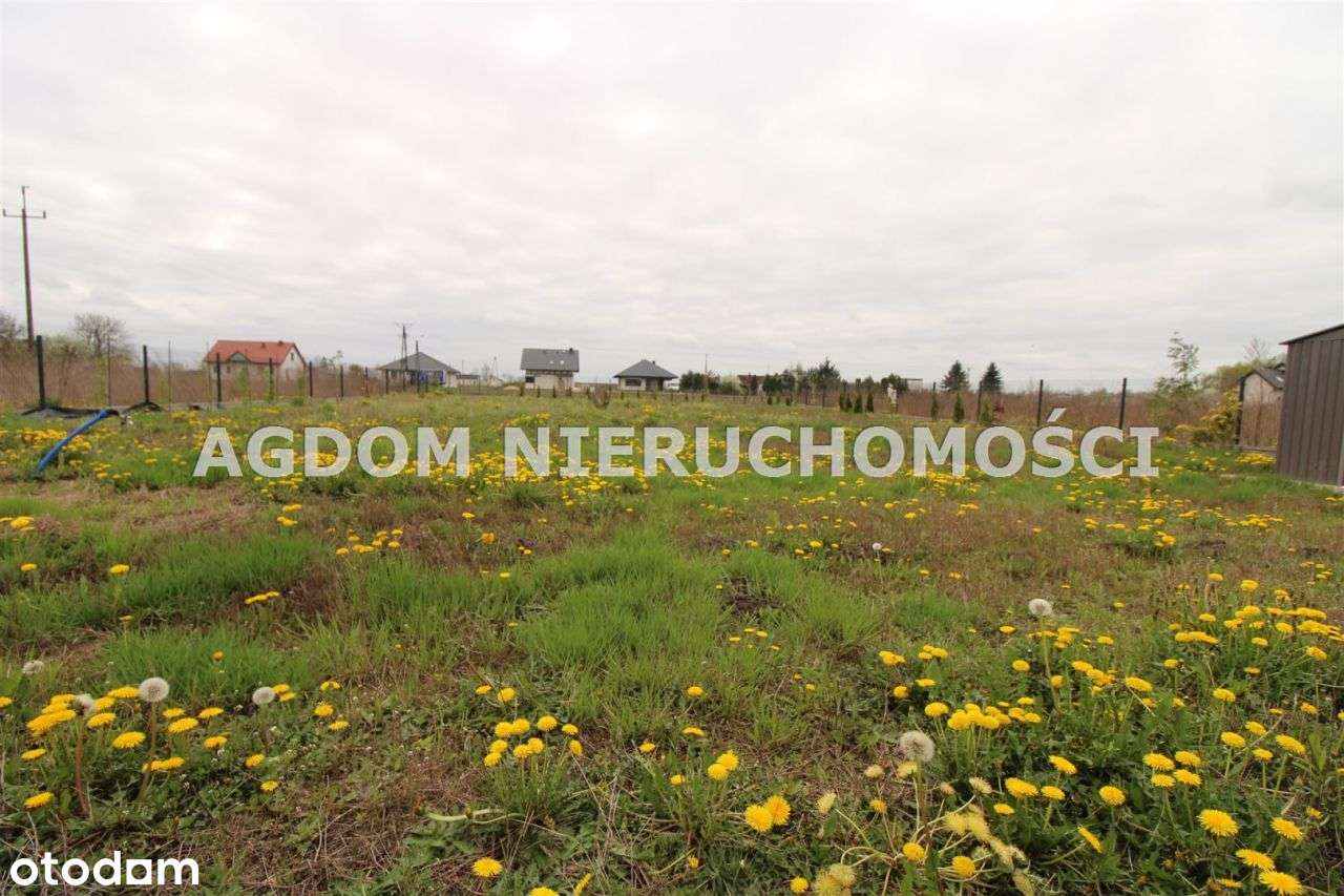 Działka budowlana - Probostwo Dolne - Pełny obrazek: 5/11