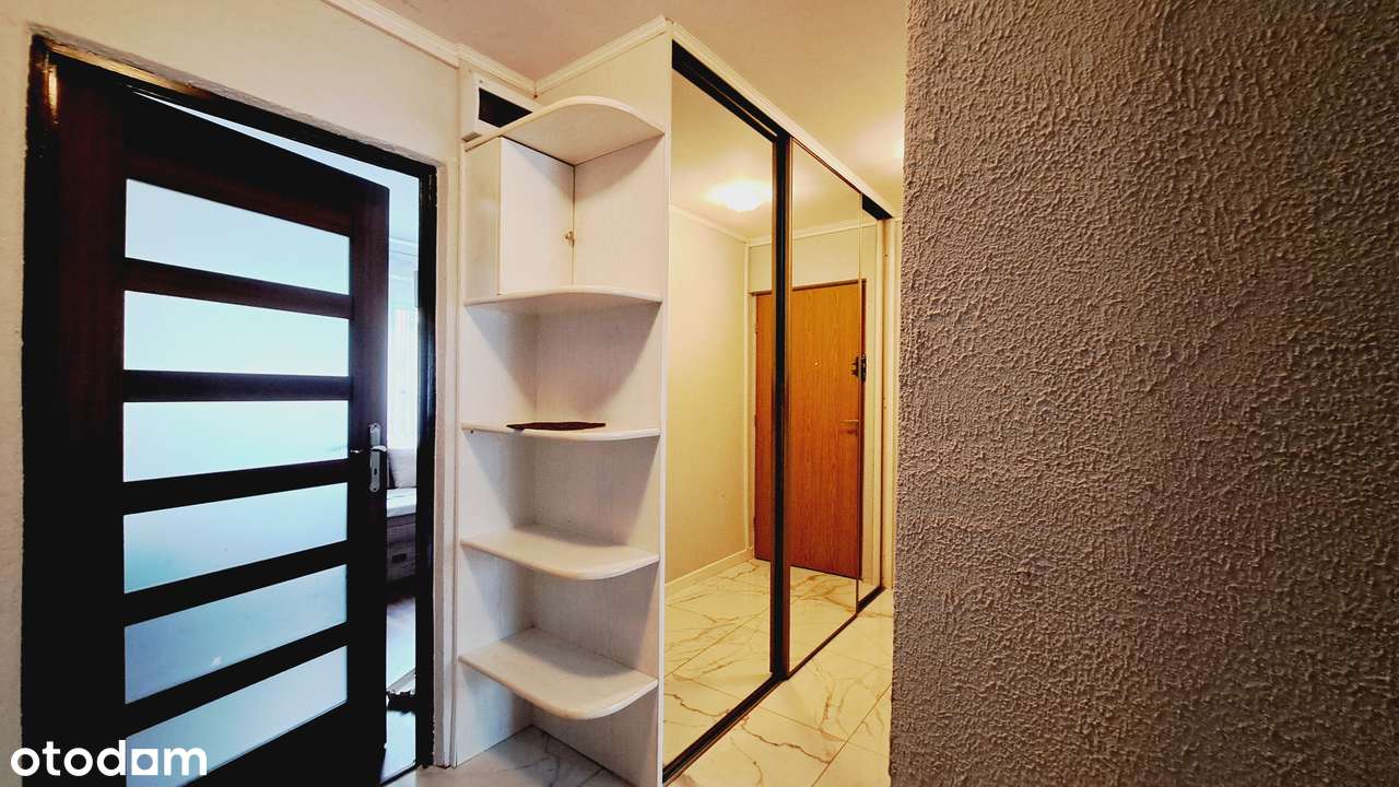 Przestronne 3 pokoje, stan bardzo dobry, blisko tramwaj-5