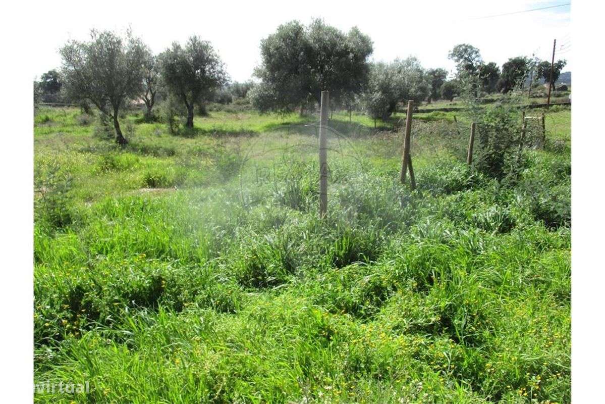 Quinta T0 para venda - Grande imagem: 4/35