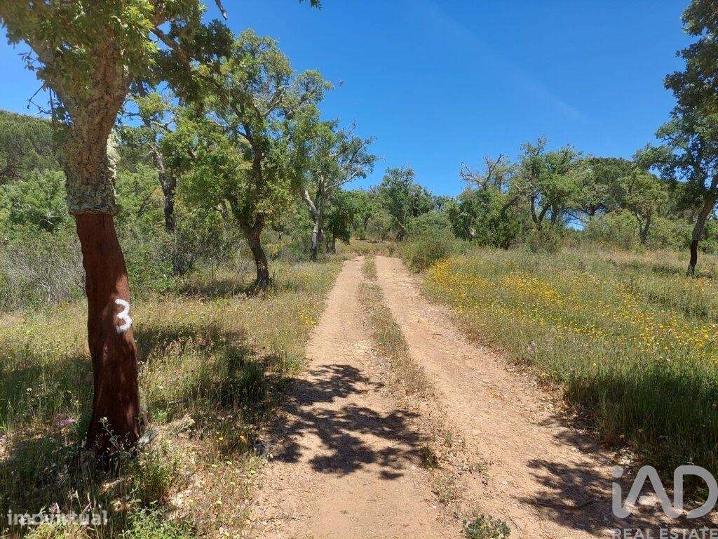 Terreno em Melides de 248300,00 m2 - Grande imagem: 4/13