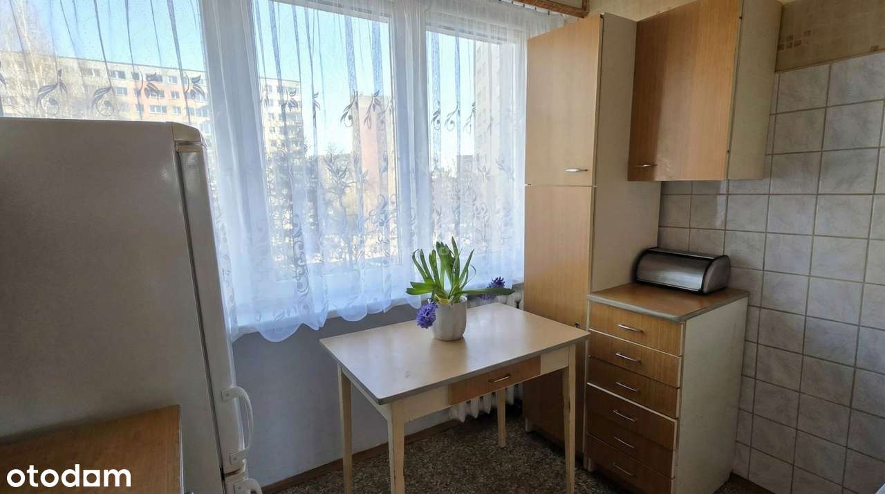 Dworcowa 50, 2 pokoje, 39m2 - Okazja na start-7