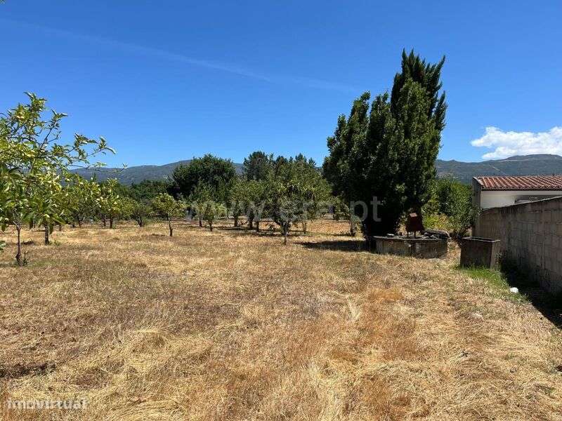 Terreno / Seia, Santa Comba - Grande imagem: 5/6