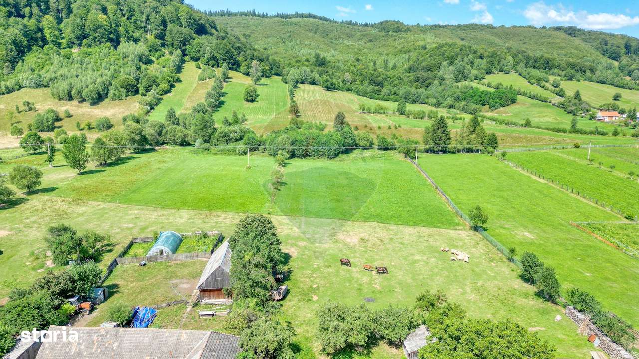 De vânzare: teren de 7.255 metri pătrați în Vama Buzăului - Imagine principală: 2/3