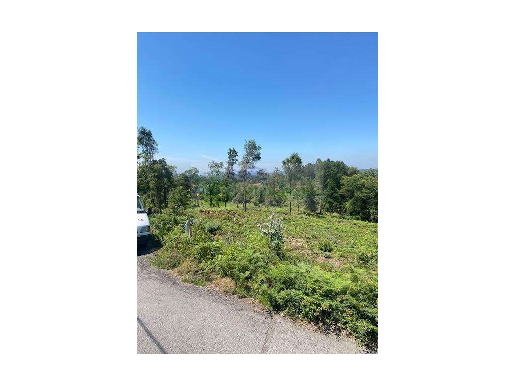 TERRENO PARA CONSTRUÇÃO | 5.000 m² SILVA ESCURA - SEVER DO VOUGA - Grande imagem: 5/7