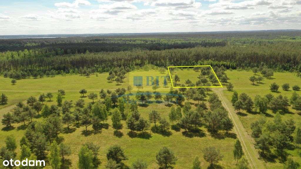 Działki budowlane o pow. 5379m2 nad jez. Dołgie - Pełny obrazek: 5/12