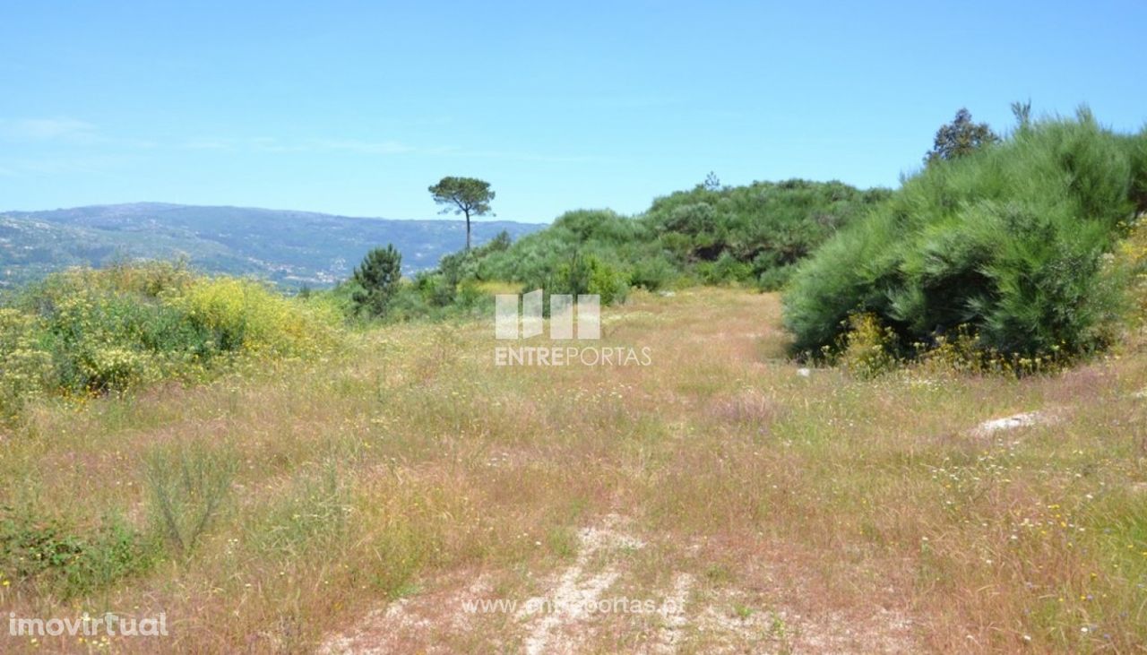 Venda Terreno, próximo centro da cidade, Rio de Galinhas, Marco de Ca