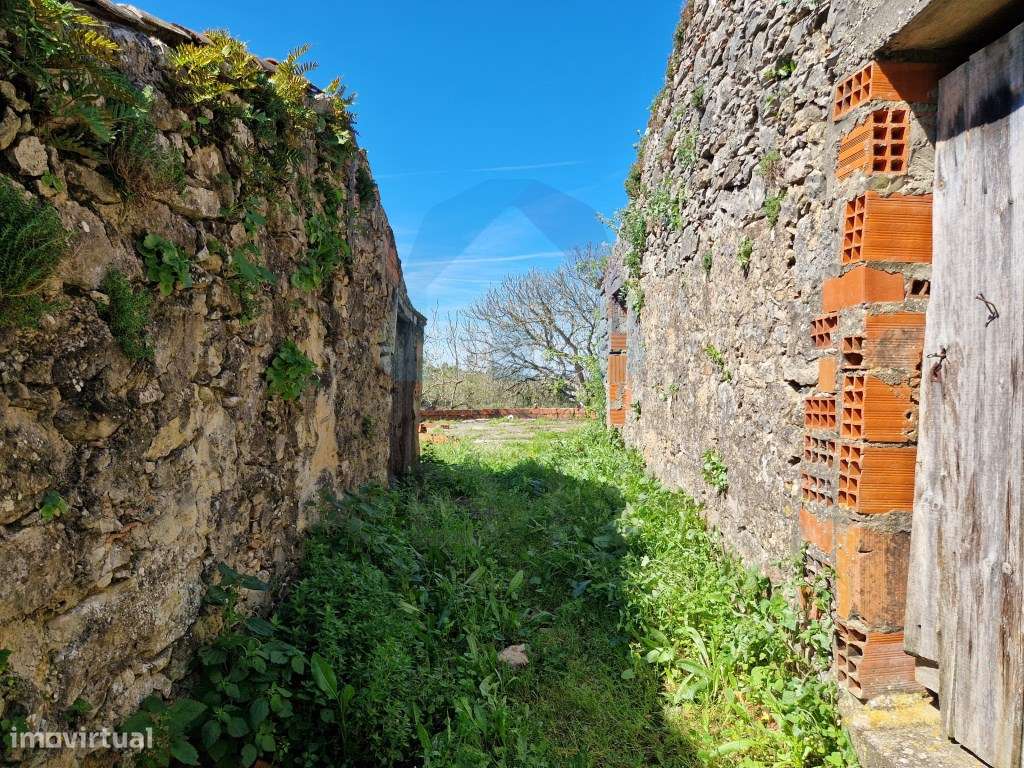 Ruína em Pedra para Recuperar - Pombal-5