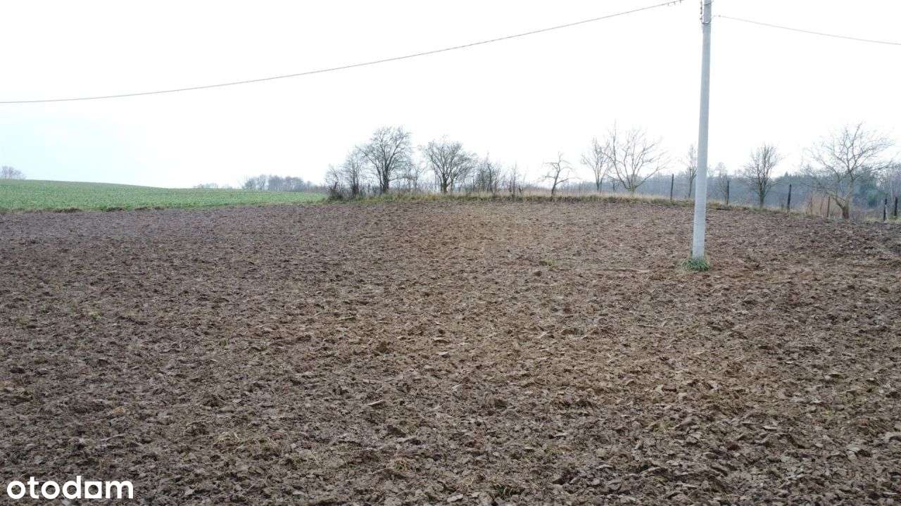 Działka w pobliżu jeziora - Łapinóżek-9