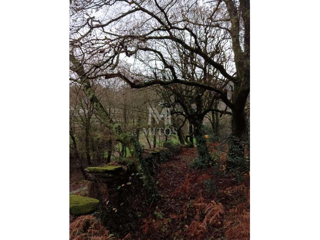 Terreno para venda em Amonde - Grande imagem: 3/8