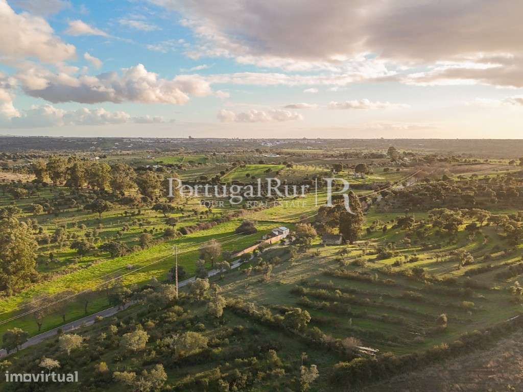 Herdade de 27 Hectares em Nisa - Grande imagem: 4/31