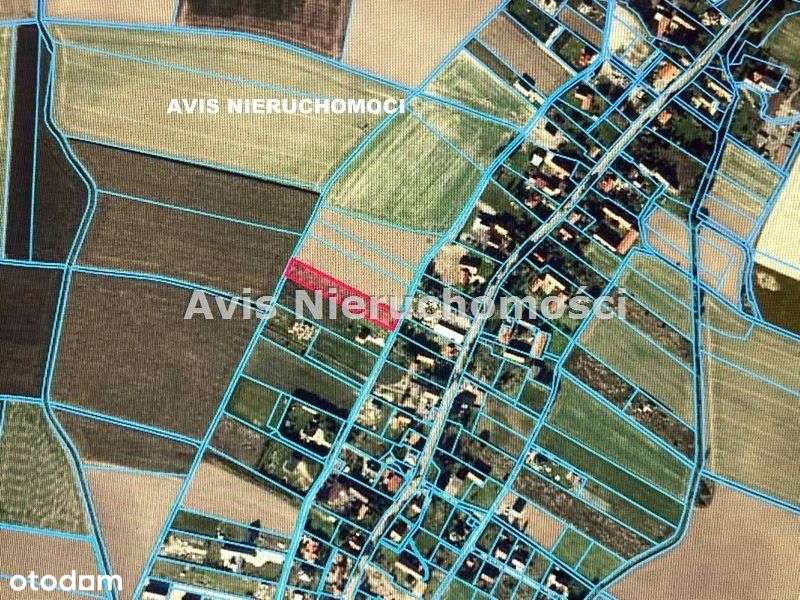 Przepiękne Widoki - Pełny obrazek: 4/4