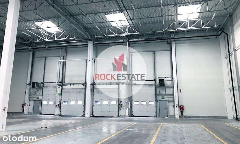 Magazyn do wynajęcia 1056 m2 z antresolą - 0% prow-6