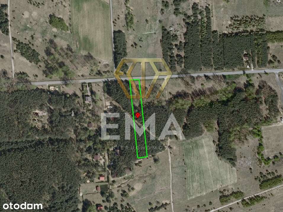 Działka Budowlana przy Lesie - Pełny obrazek: 5/5