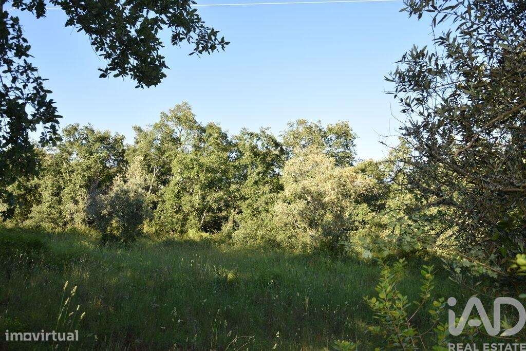 Terreno em Areias e Pias de 1440,00 m2 - Grande imagem: 4/29