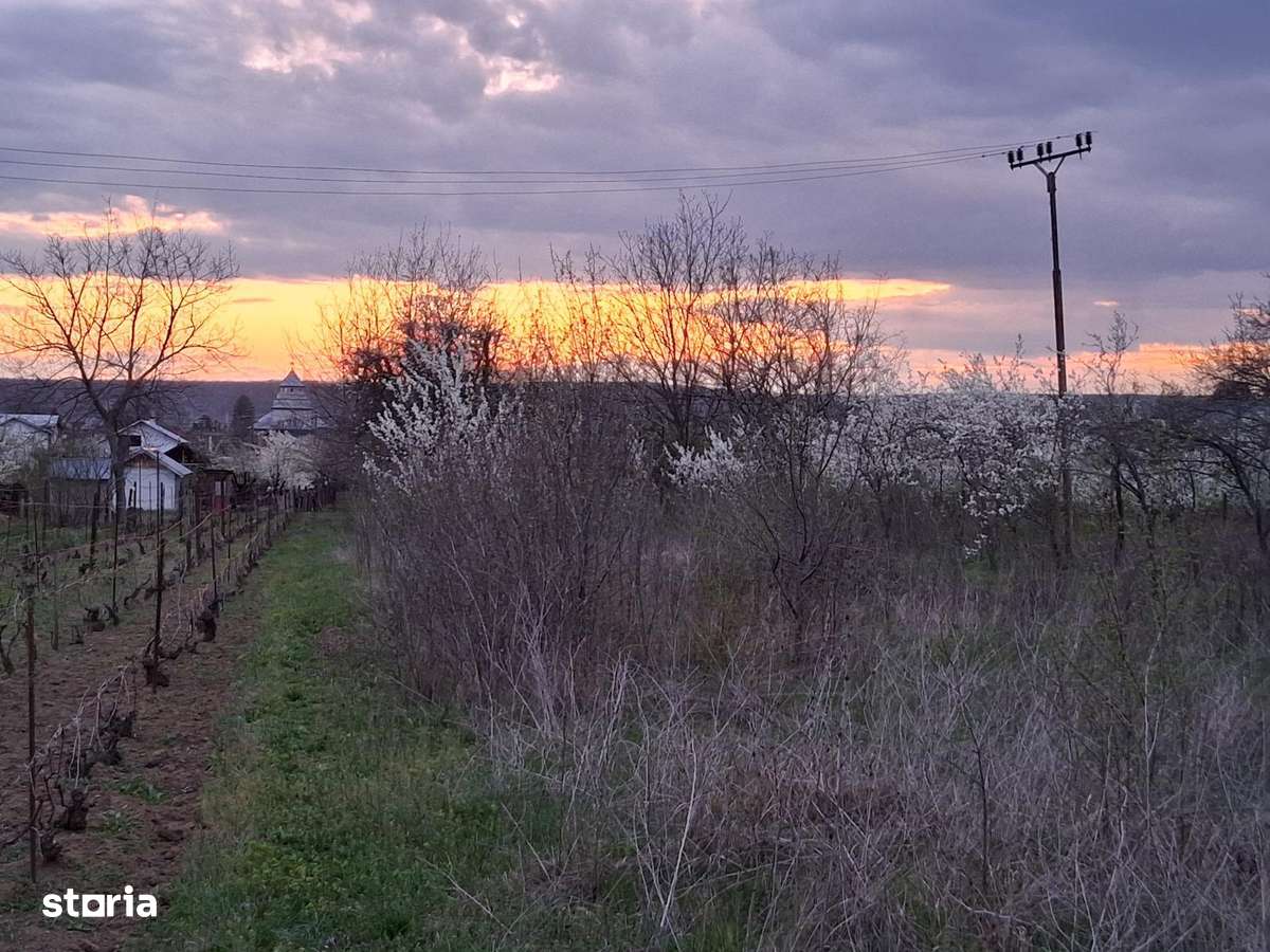 Teren intravilan oportunitate excelenta pentru dezvoltare rezidentiala - Imagine principală: 4/7