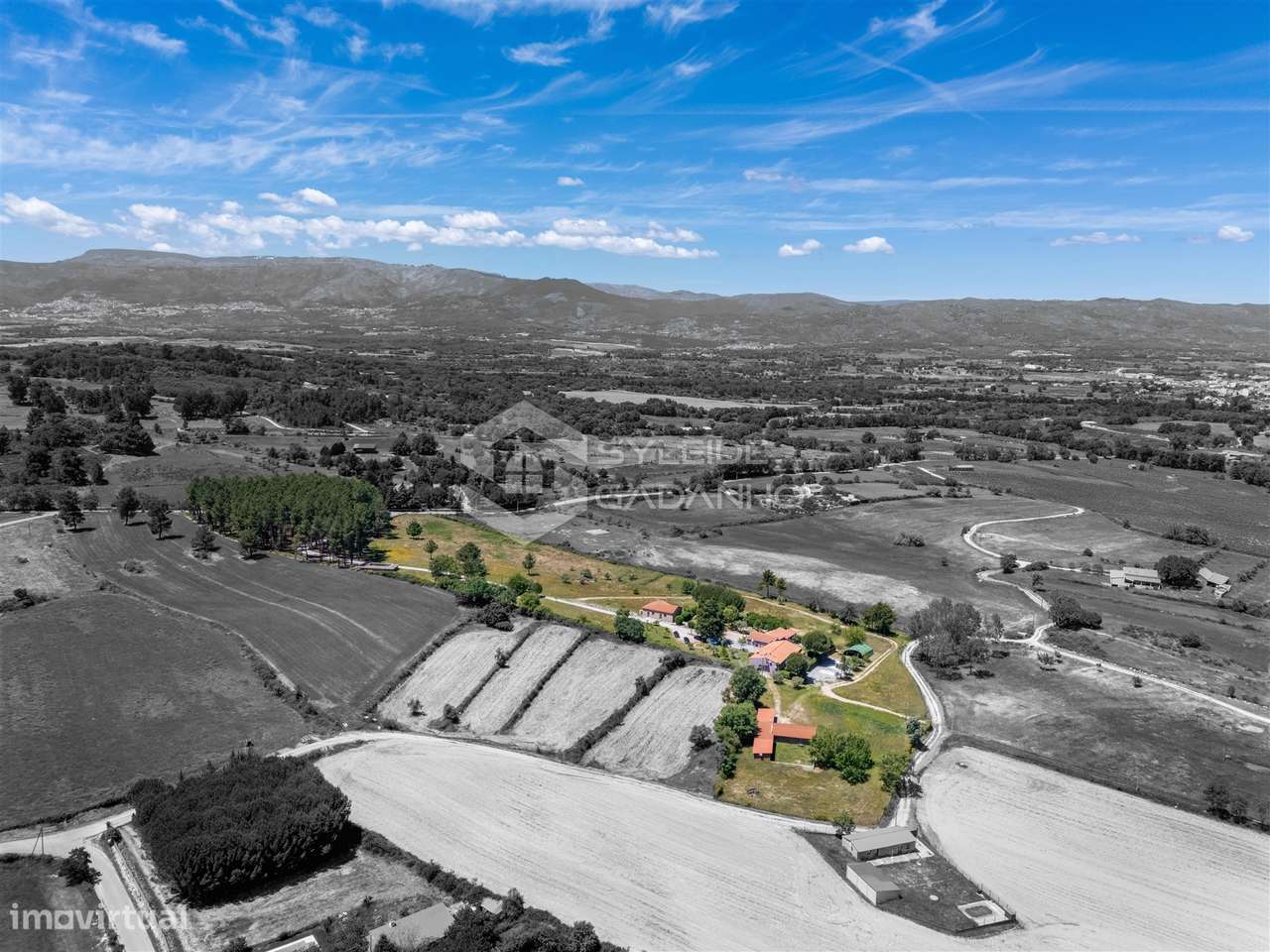 Quinta T8 Venda em Caria,Belmonte-7