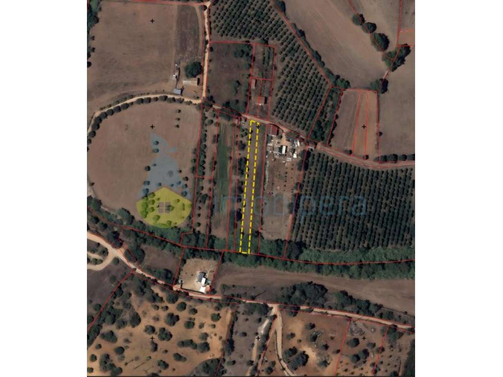 Horta com Nora - Grande imagem: 2/5