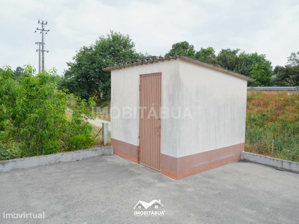 Quintal de cultivo com garagem em Cancela, perto de Santa Comba Dão-7
