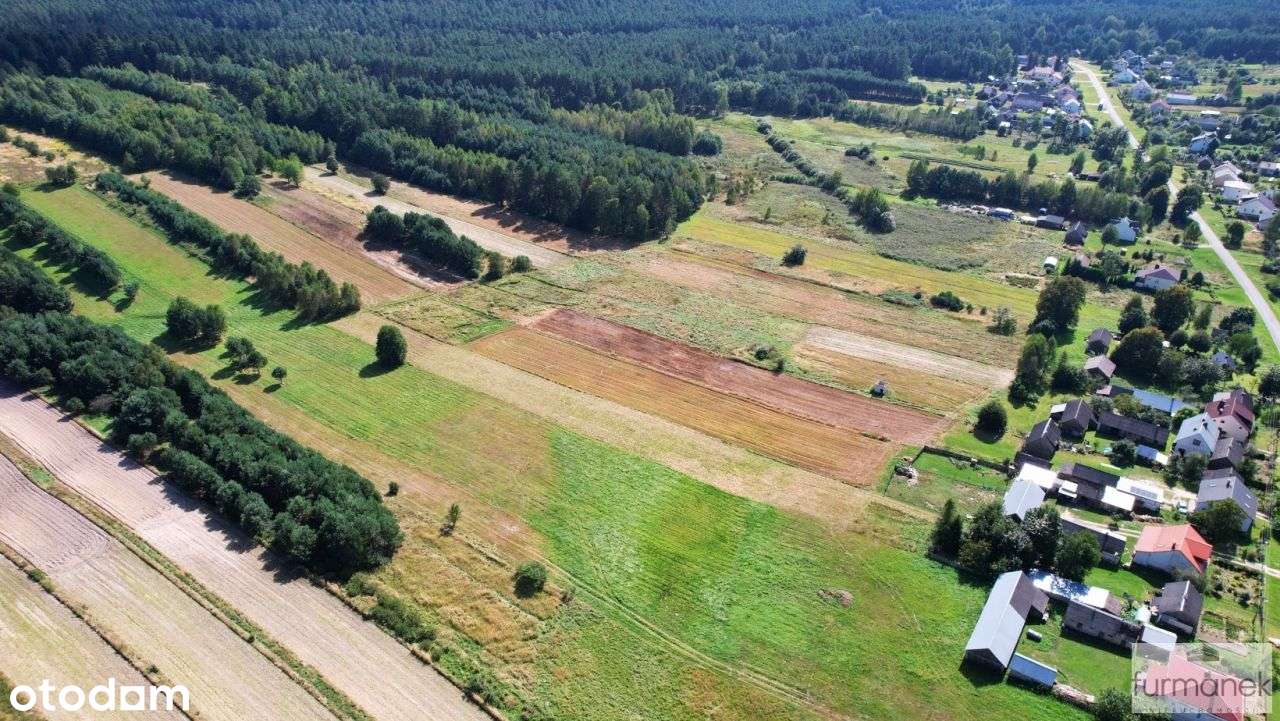 Działka budowlana 0,69 ha | Roztocze - Pełny obrazek: 4/18