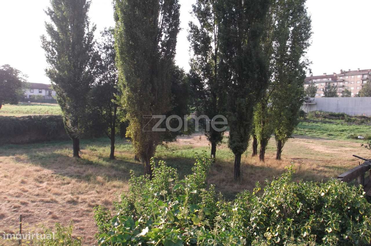 TERRENO PARA CONSTRUÇÃO EM ALTURA NO CENTRO DE ARRIFANA - Grande imagem: 3/16