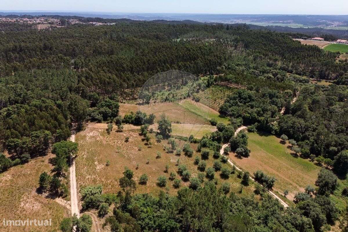 Terreno  para venda - Grande imagem: 5/15