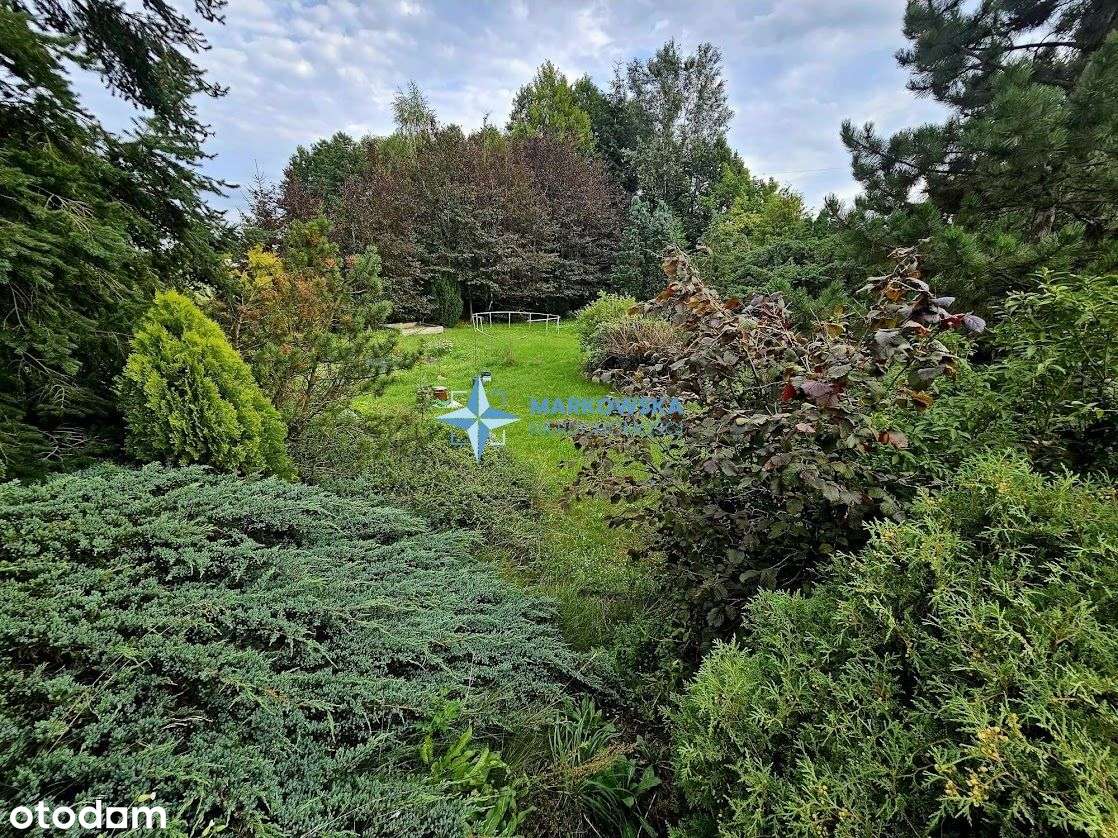 Dom w zieleni w Solcu Kujawskim-18